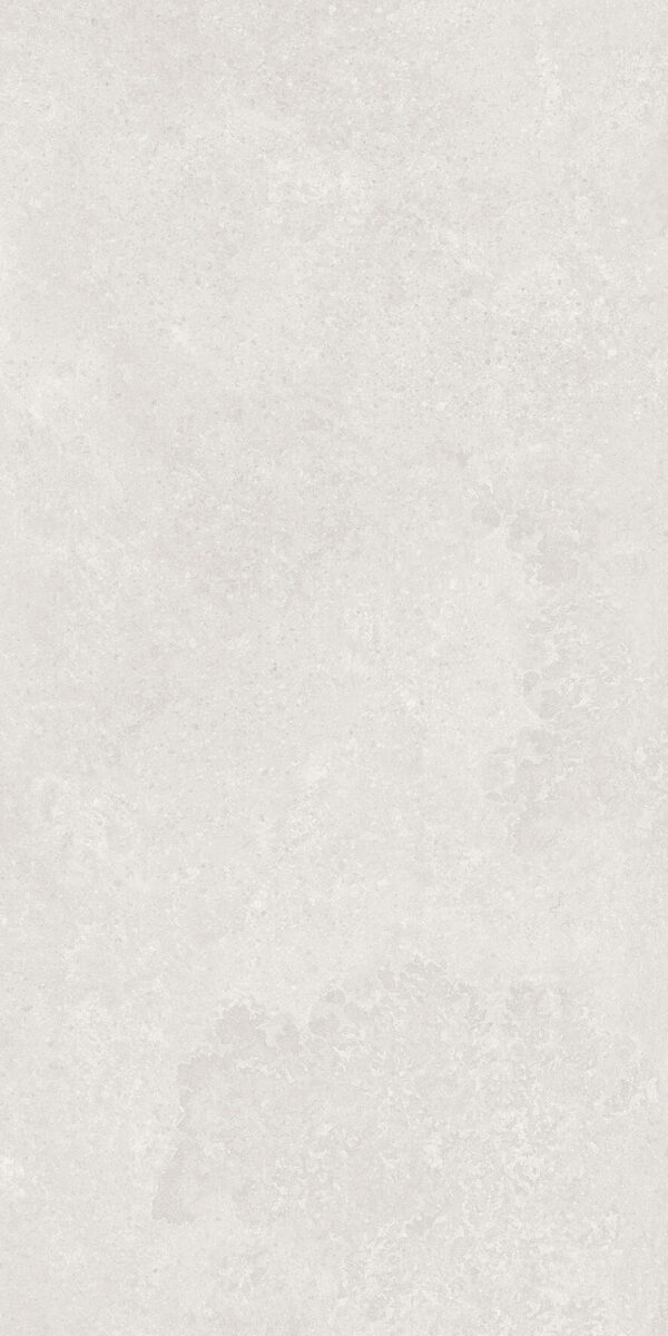 60x120 CONCRETO LUNAR TERRA LIGHT MATT